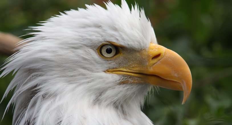 No tags or product types